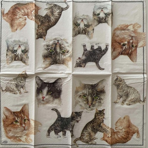 Paper napkins 21x21 for - paper, cm