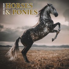 Horses & Ponies 2026 Calendar