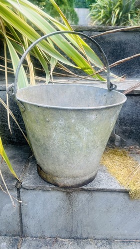 Vintage galvanised bucket pail