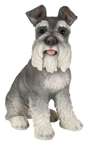 Vivid arts miniature schnauzer - vivid,