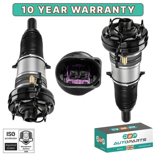 Air suspension strut shock - strut,