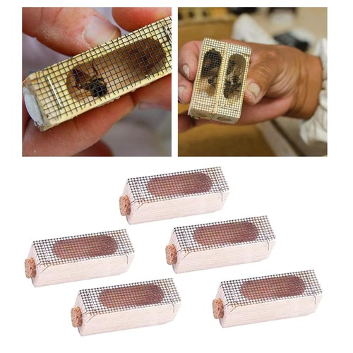Wooden queen bee cage - 5x,