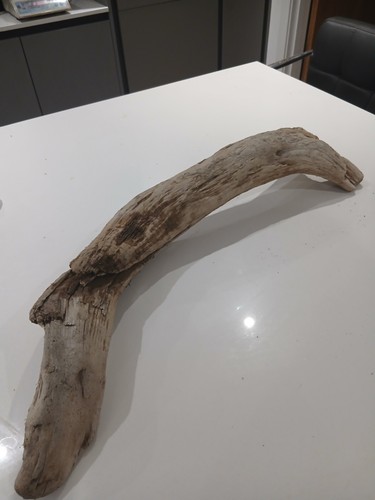 Driftwood piece - driftwood,