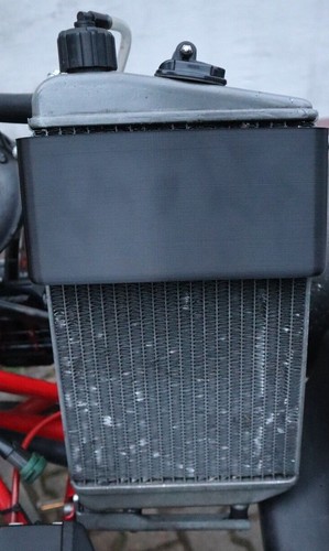 Rotax max dd2 radiator cover - max,