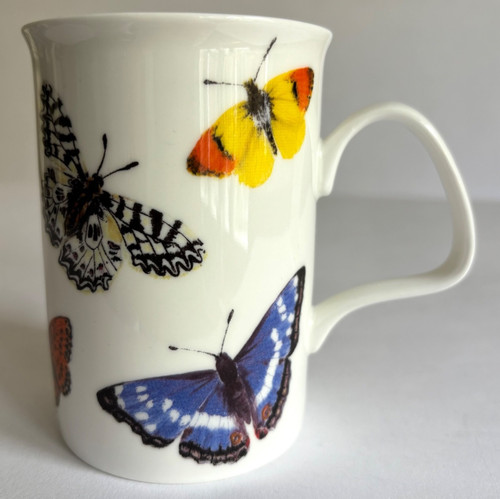 Roy kirkham butterfly - kirkham, garden