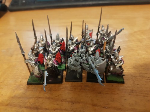 17x dark elf spearmen - elf,