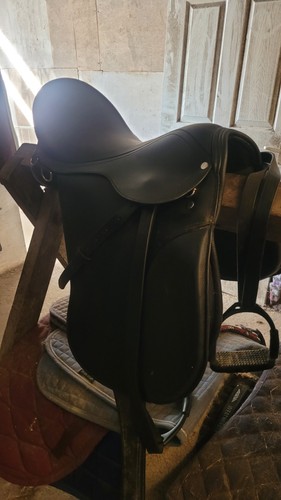 Saddle black - saddle,