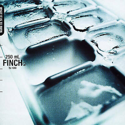 Finch what to - it, burn