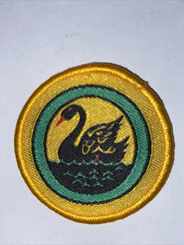 Boy scout scarf badge western - boy,