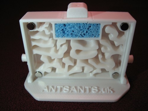 Medium ant nest - , vertical