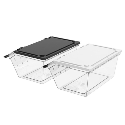 Reptile breeding box - reptile,