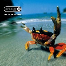 The prodigy - the,