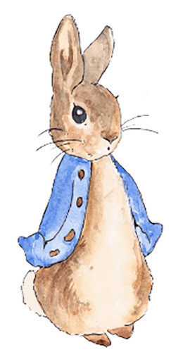 Peter rabbit vinyl stickers - peter,