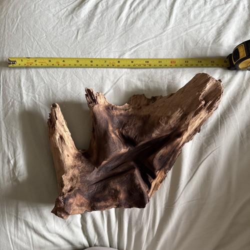 Driftwood natural sculpture - driftwood,