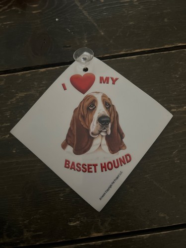 Love basset hound - love,