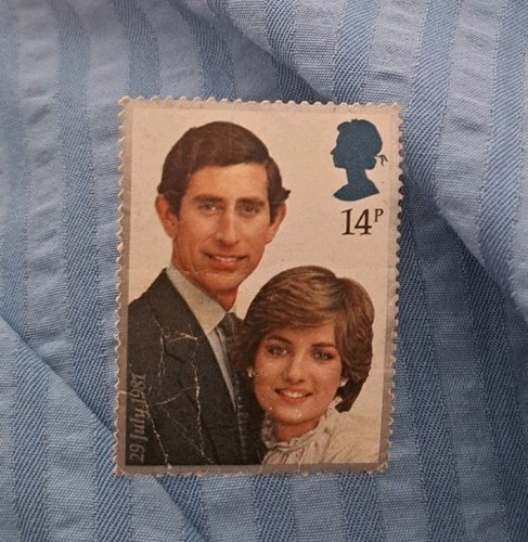 1981 prince charles and lady - prince,