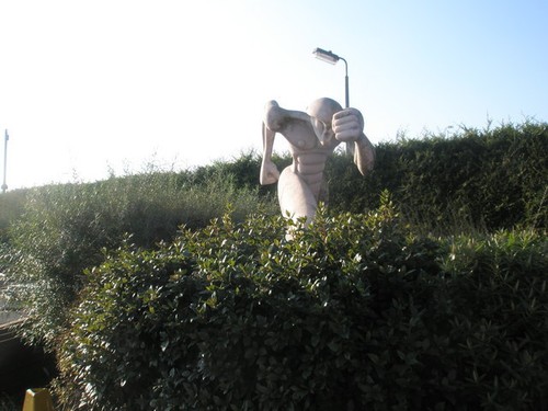 Photo 6x4 strange figure - photo,