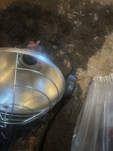 Heat lamp and - lamp, suitable