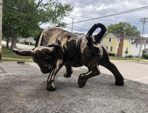 Mcm fighting charging bull - charging,