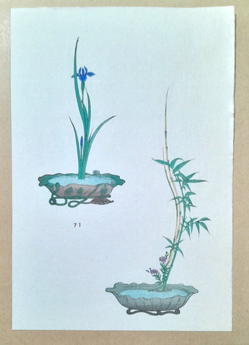 Ikebana iris bamboo japanese - ikebana,