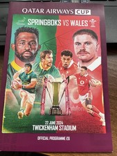 2024 WALES V SOUTH AFRICA @