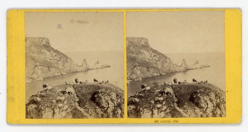 Stereoview stereoscope card - stereoscope,
