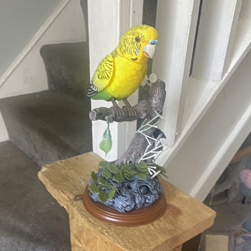 Sound activated budgie plastic - activated,