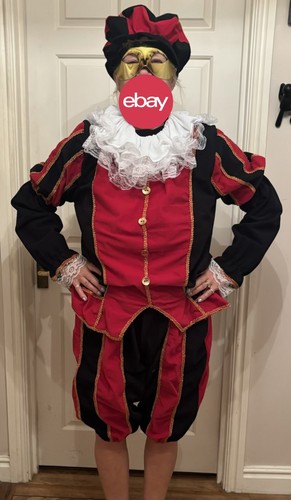 Elizabethan masquerade jester