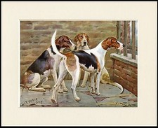 FOXHOUND LOVELY DOG PRINT
