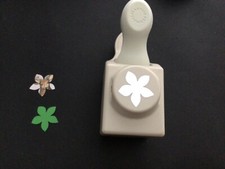 Martha Stewart 2 in 1 stamp and punch set -flower Craft Card Making cutter