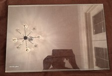 Zanussi ZI918/12KA Fridge Glass Shelf Assembly : 450x310mm No Rear & Front Trim