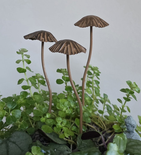 Set mini metal mushroom - of,