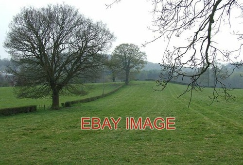 Photo grazing land - grazing,