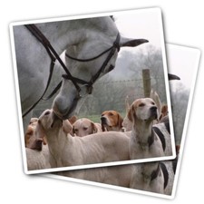 2x Vinyl Stickers Grey Horse