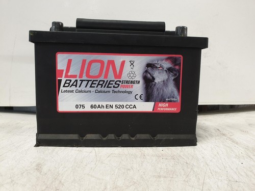 Medium lion flooded 60ah - lion,