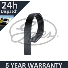 Gates V-Ribbed Belts Fits 306