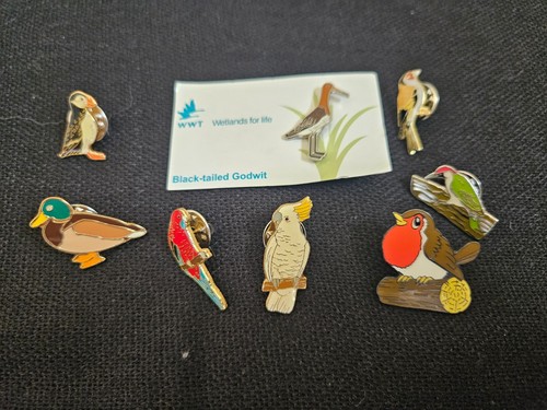 Job lot birds metal enamel - 8,