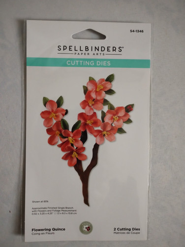 Spellbinders flowering quince - flowering,