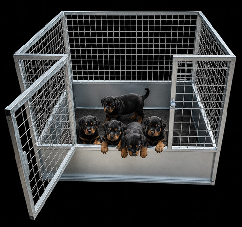 Galvanised steel dog - steel,