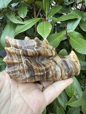 Amber Calcite Dragon Head
