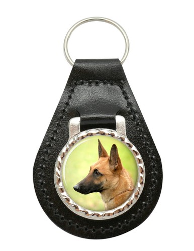 Belgian shepherd dog - shepherd,
