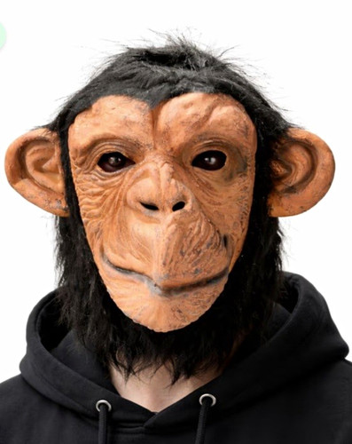 Adult unisex brown chimpanzee - unisex,