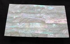 Australian Abalone thin mother