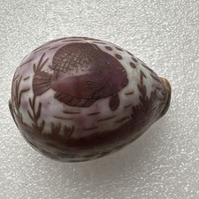 Hand carved tiger cowrie shell - carved,