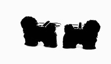 Havanese Dog Cufflinks Mens Novelty Dog Shirt Cufflinks In Black