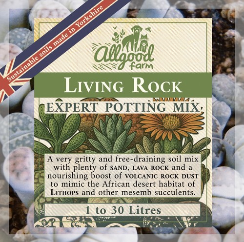 Living rock expert - living,