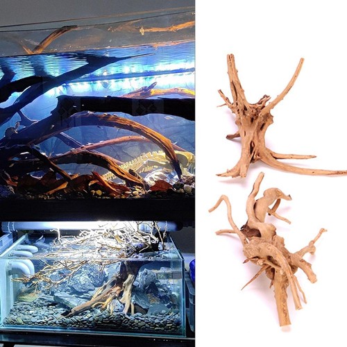 Wood natural trunk driftwood - wood,
