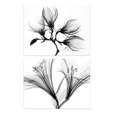 Plants X-Ray Of Flowers And Leaves Photos Unframed A4 Art Print Duo 2 Pack