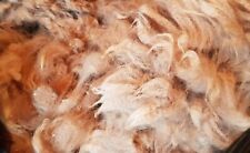 Alpaca Fleece Fibre Wool Bird