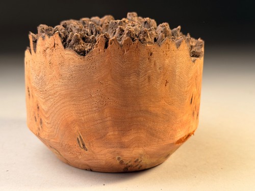 Live edge burr elm - elm, resin